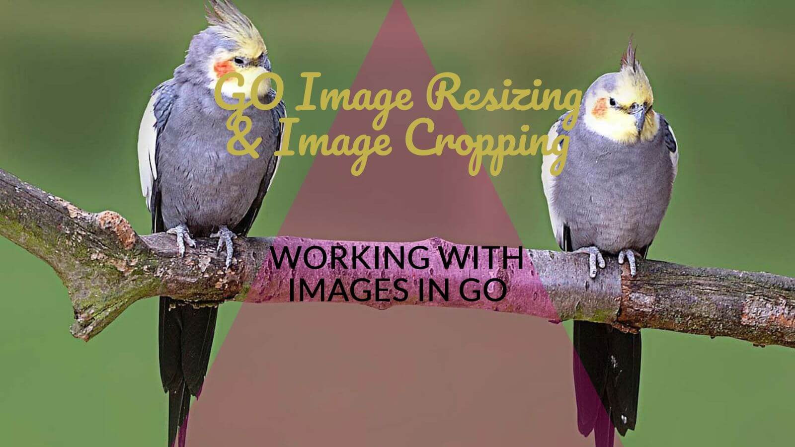 Golang Image Resize and Golang Image Crop: Image Manipulation With Go Programming Language